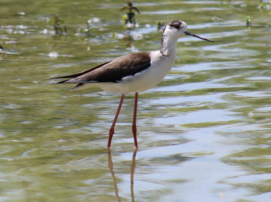 Domaine des Oiseaux-Mazeres必去景点