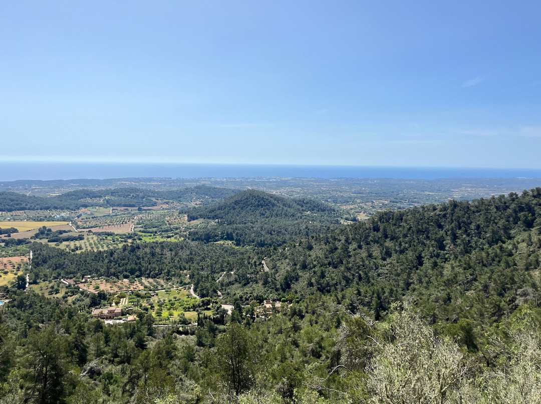 Castell de Santueri-Felanitx必去景点