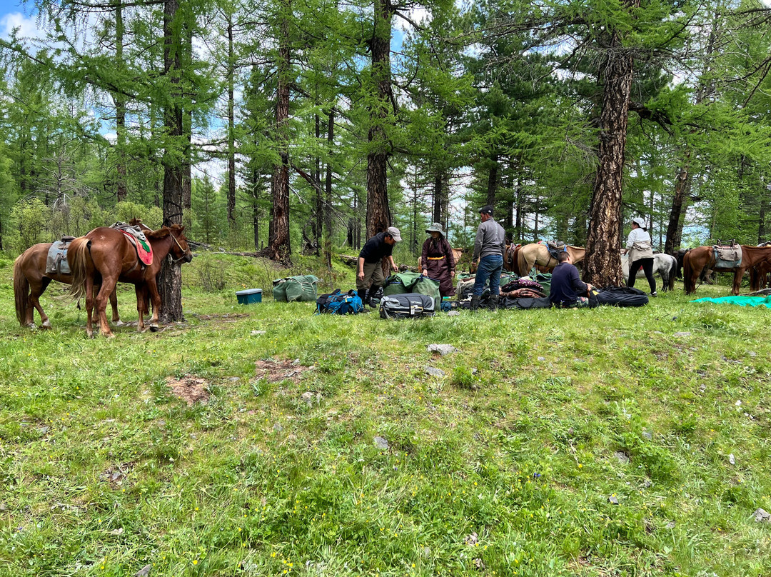 Fat Horse Mongolia