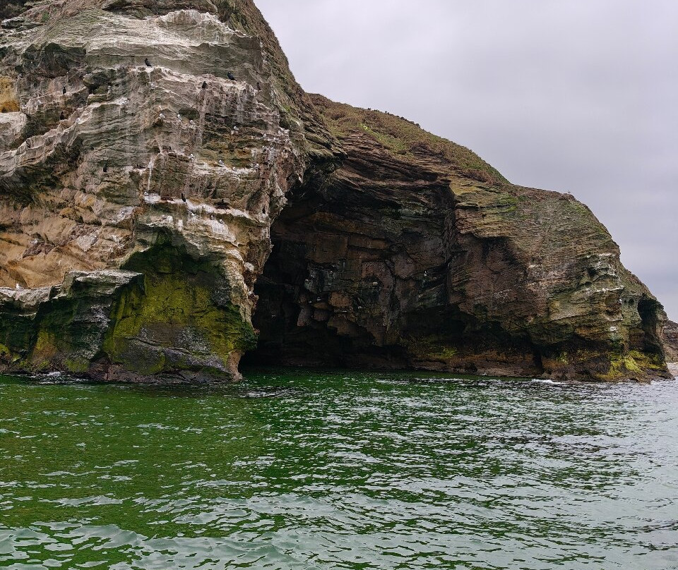 North 58 Sea Adventures-Lossiemouth必去景点