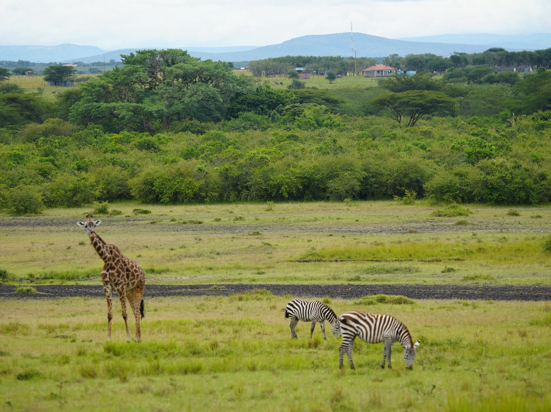Explorer Kenya-内罗毕必去景点