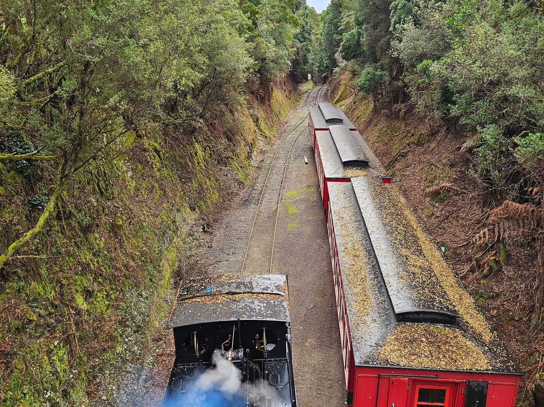 West Coast Wilderness Railway-皇后镇必去景点