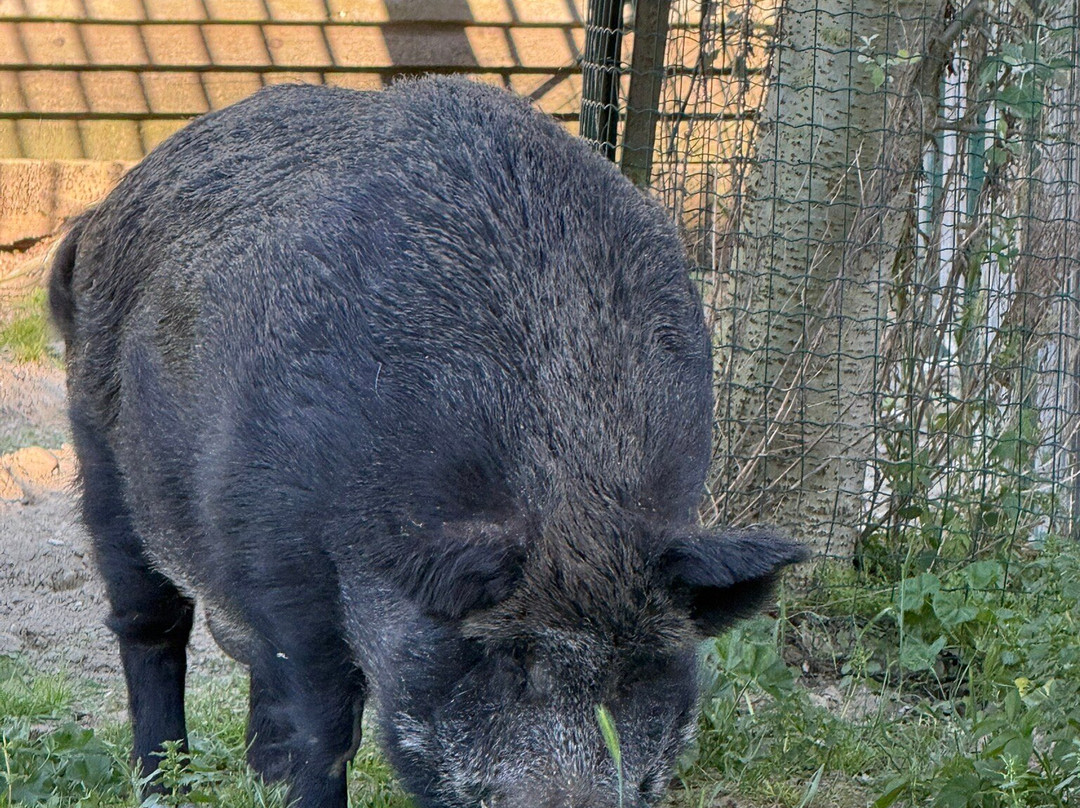 Parco Naturale Di Cervia-切尔维亚必去景点