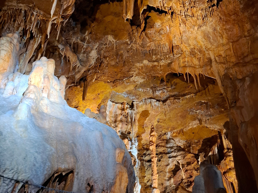 Grotte Du Bosc-Saint-Antonin Noble Val必去景点