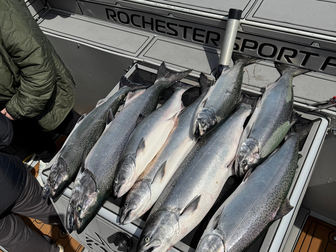 Rochester Sport Fishing-罗切斯特必去景点