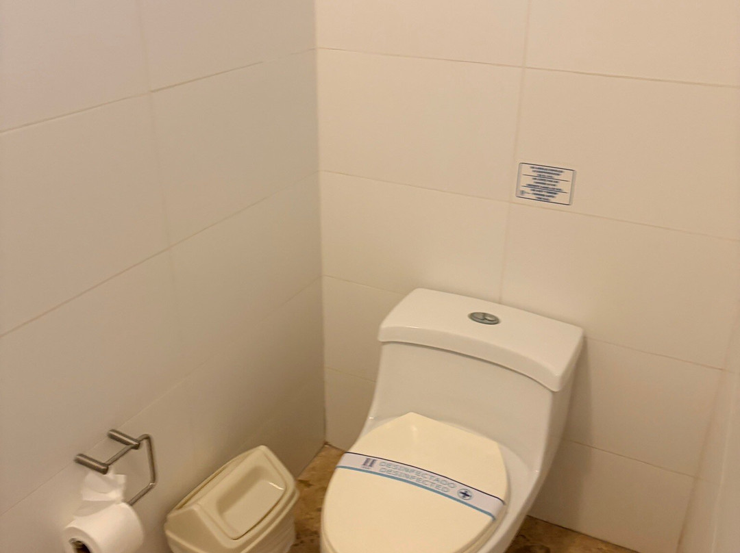 圣奥古斯丁帕拉卡斯酒店主图