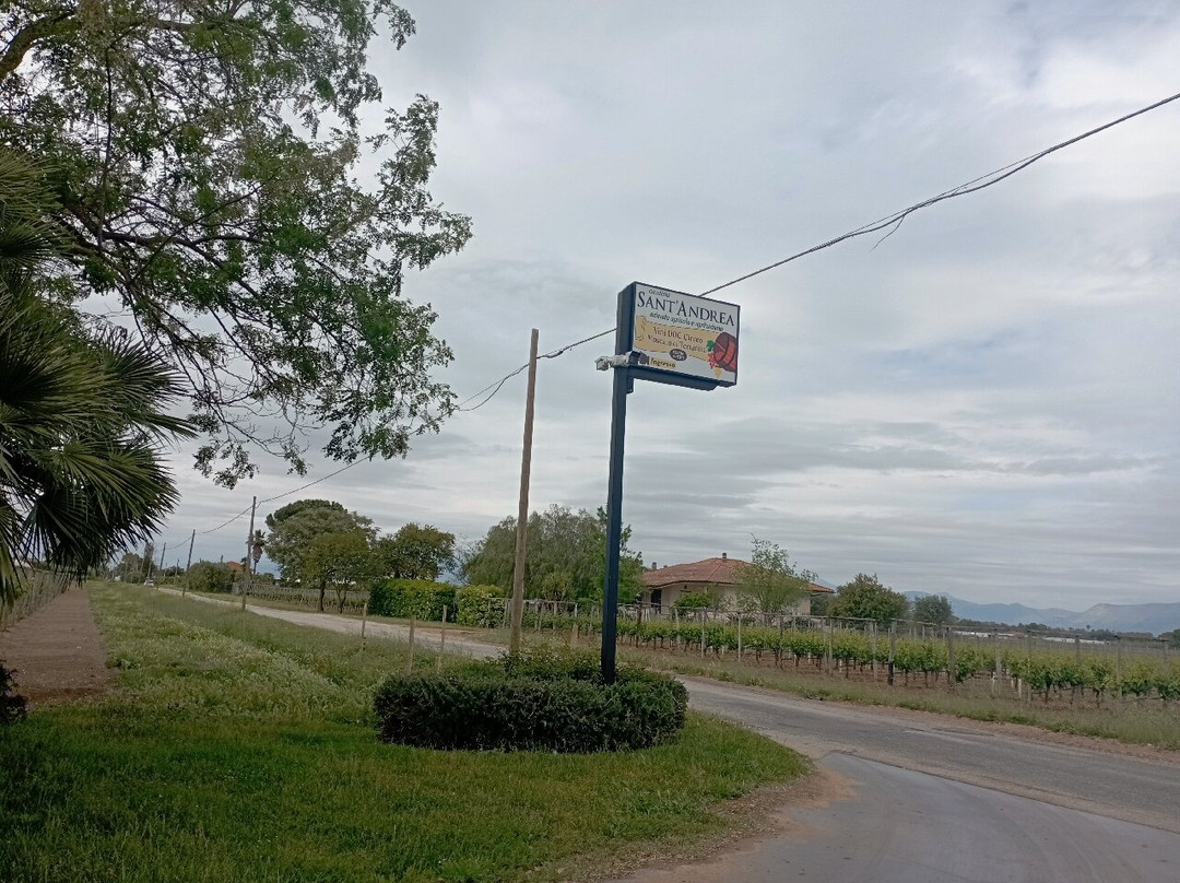 Cantina Sant'Andrea Azienda Agricola-特拉西那必去景点
