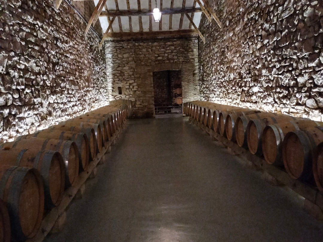 Bodegas Franco Espanolas-洛格罗尼奥必去景点