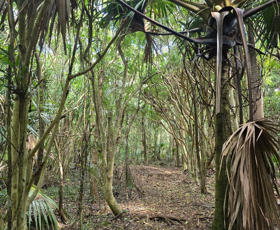 Grande Montagne Nature Reserve-罗德里格斯岛必去景点