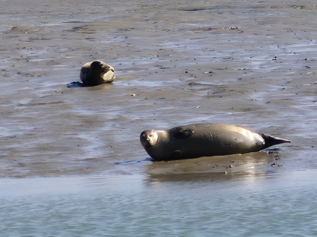 Chichester Harbour Water Tours-West Itchenor必去景点