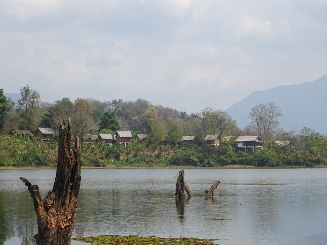 Elephant Conservation Center-Sayaboury必去景点