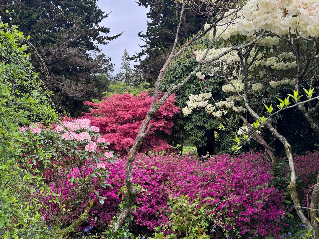 Mount Congreve Gardens-County Waterford必去景点