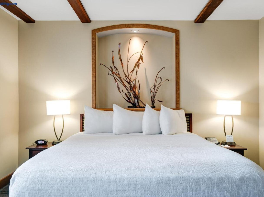 Luxury Collection Hotel
