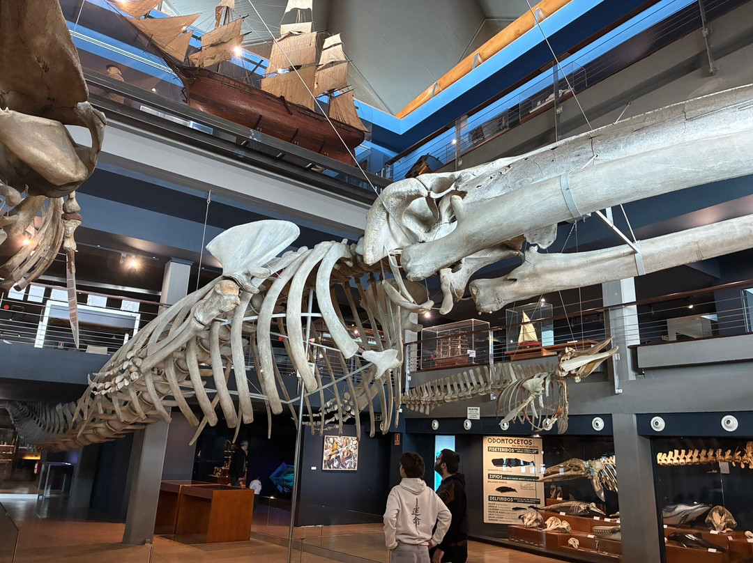 Museo Maritimo del Cantabrico-桑坦德必去景点