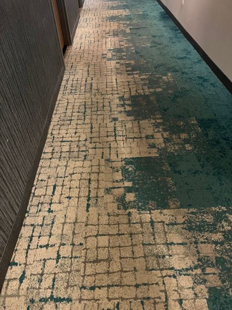 纳什维尔贝尔维尤希尔顿惠庭酒店-旅行者