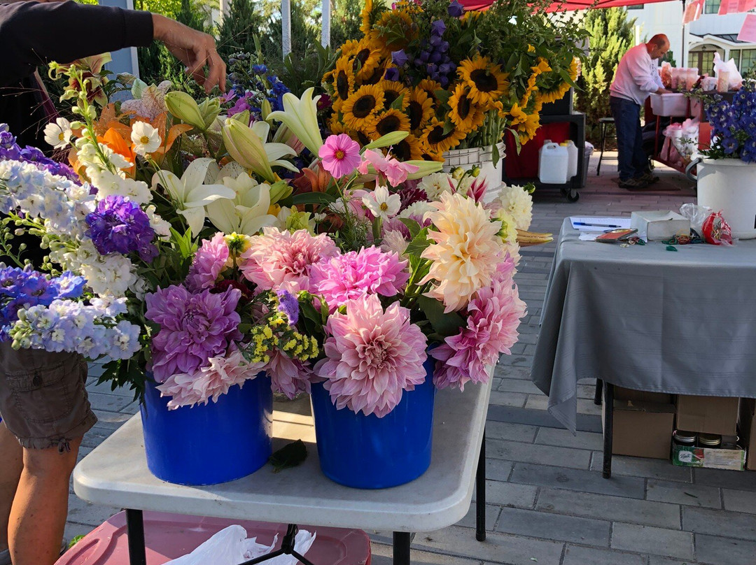 The Market At Sca