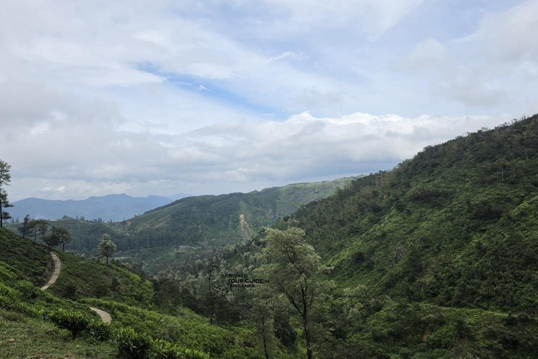Private Tour Guide in Sri Lanka-科伦坡必去景点