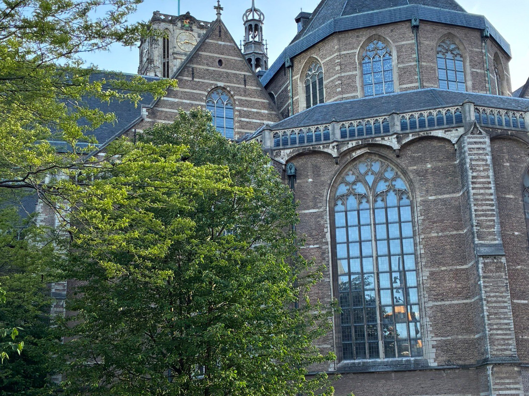 Grote of Sint-Laurenskerk-鹿特丹必去景点