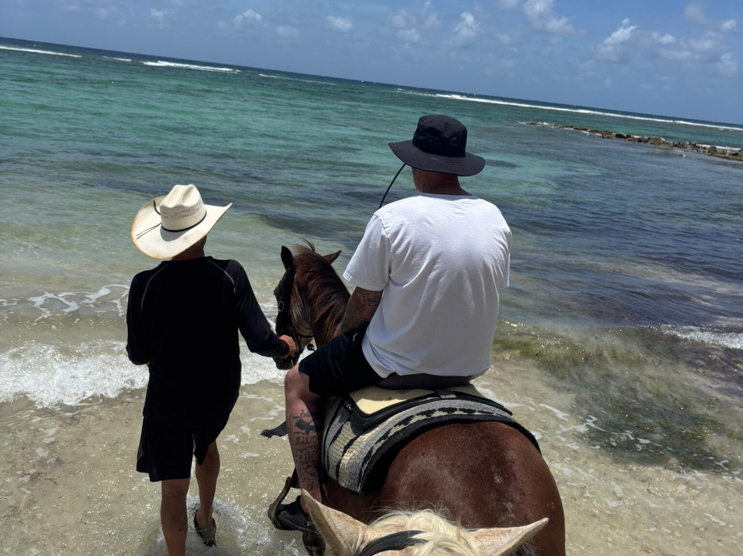 Equus Rides Horseback Riding St. Croix-Frederiksted必去景点