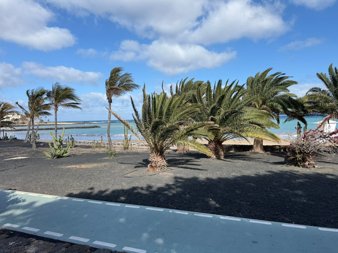 Playa de las Cucharas-科斯塔特吉塞必去景点