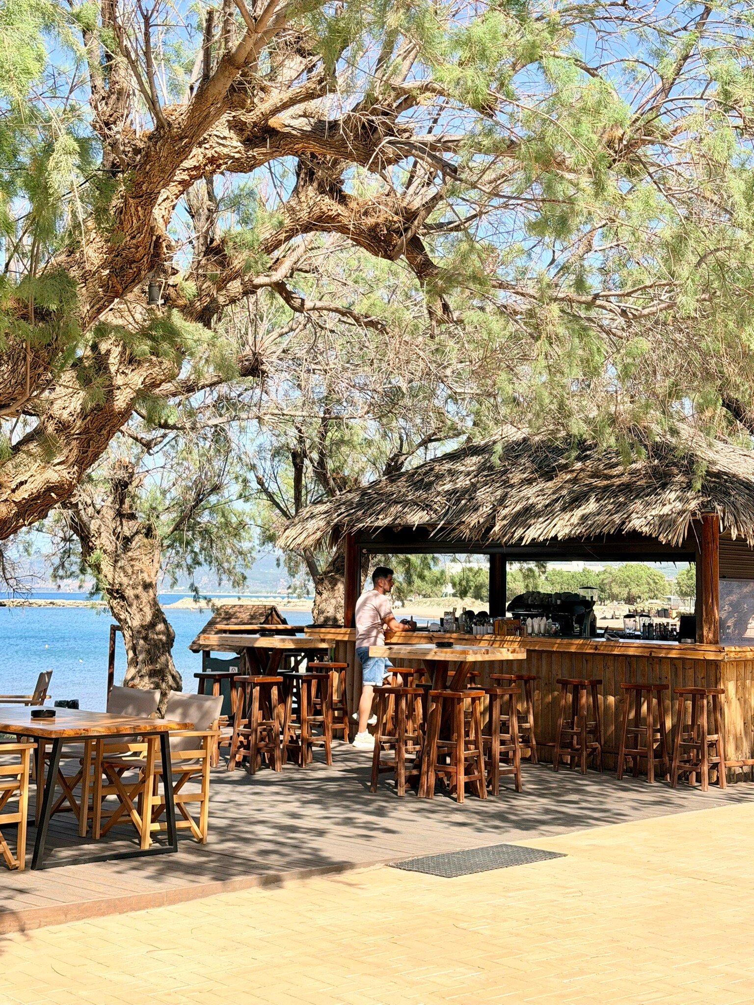 阿芙罗狄蒂海滩酒店-旅行者