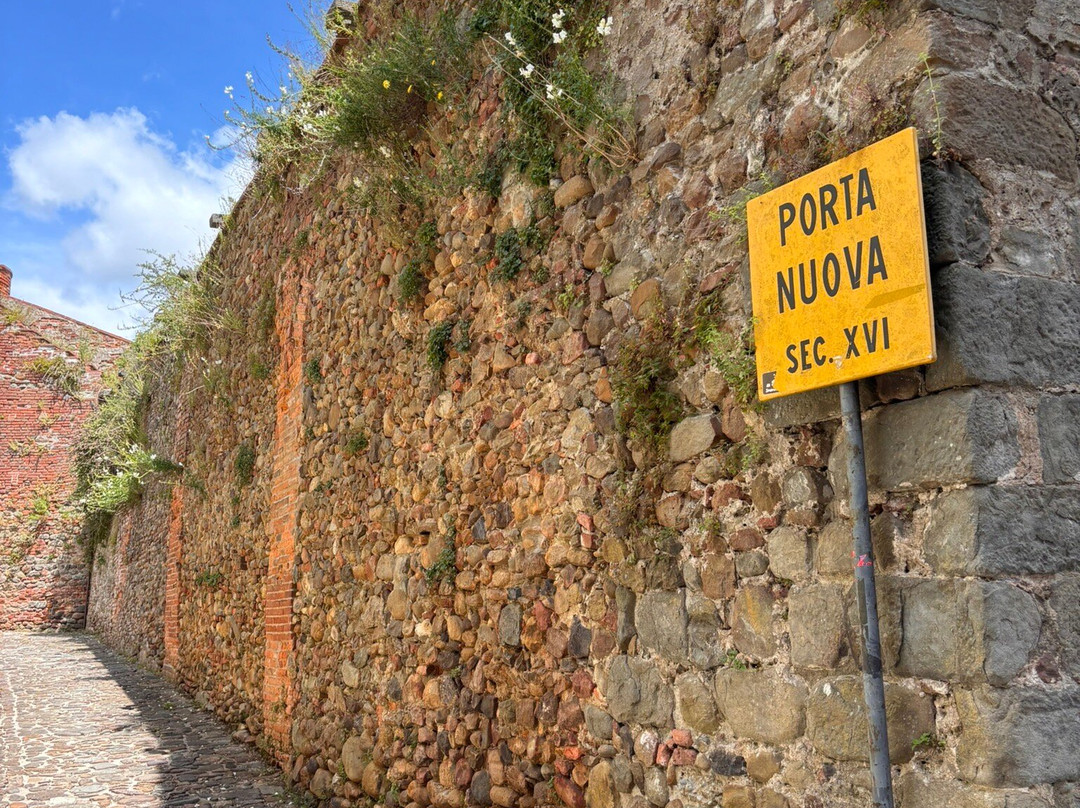 Come & See Italy - Day Tours-蒙特卡蒂尼－泰尔梅必去景点