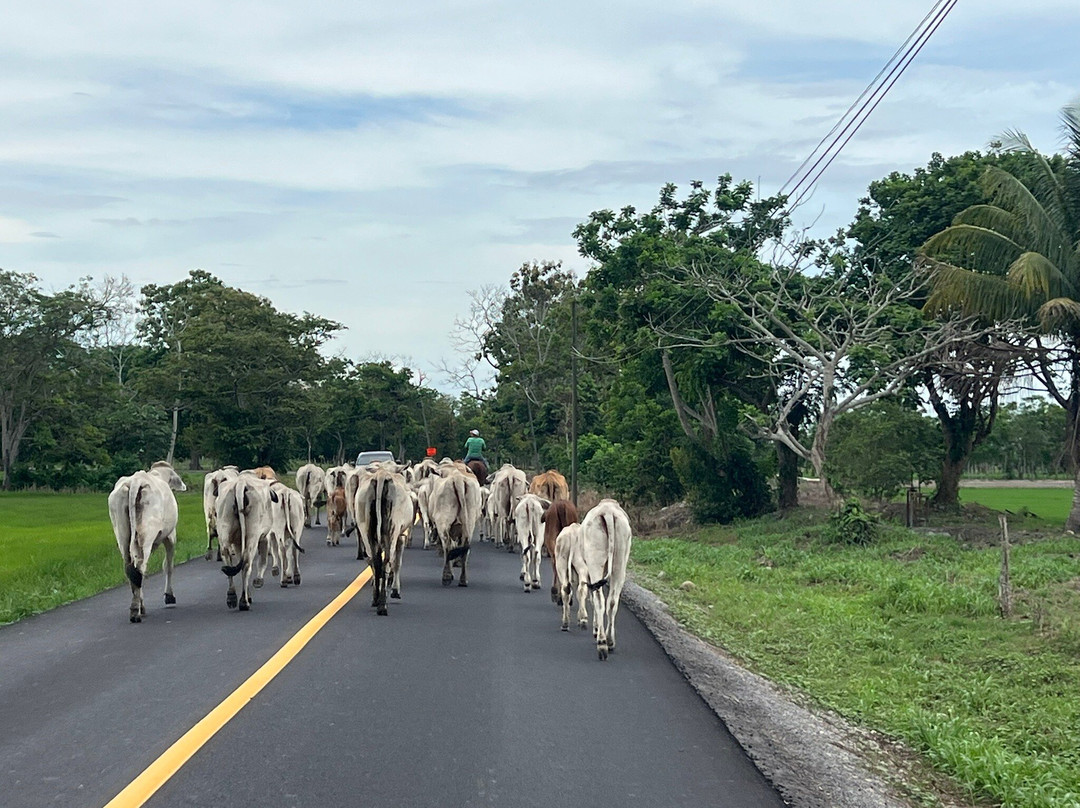 Panama Relocation Tours-波魁特必去景点