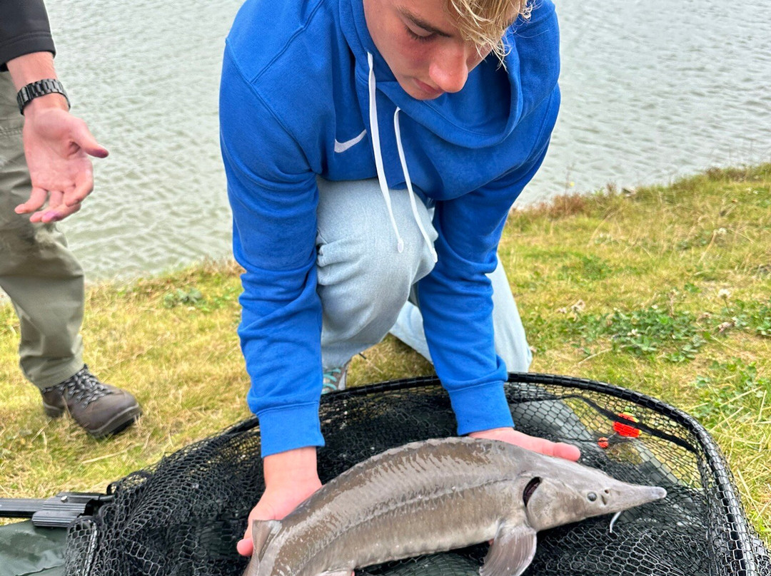 Fish Fun Vrouwenpolder-Vrouwenpolder必去景点