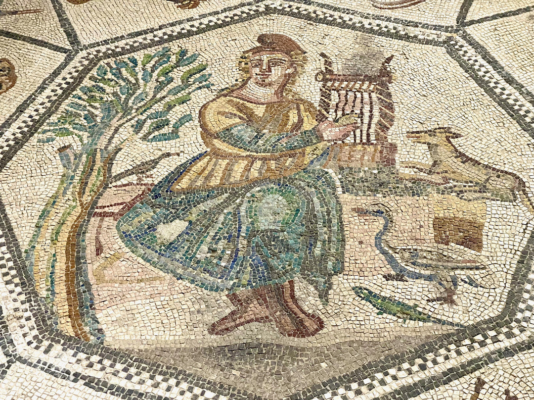 New Archaeological Museum Mytilene-米蒂利尼必去景点
