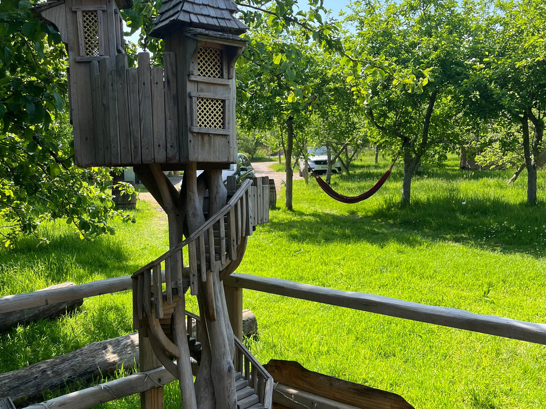 Torre Cider Farm-Washford必去景点
