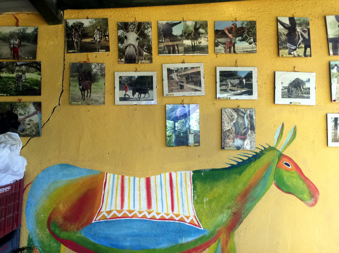 Agia Marina Donkey Rescue Sanctuary-Petrokefali必去景点