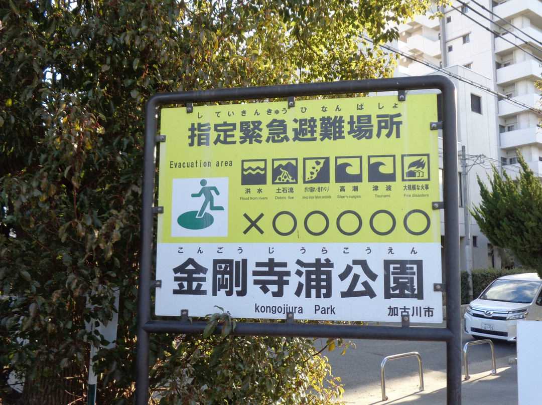 Kongojiura Park-加古川市必去景点