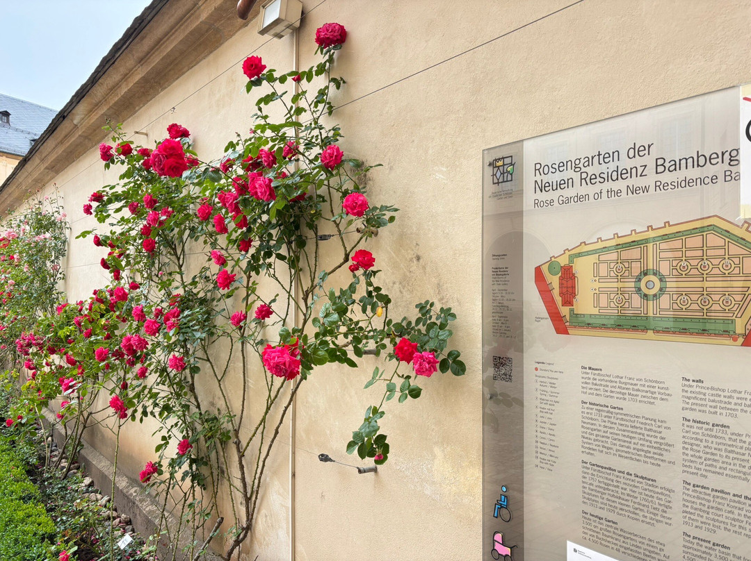 Rose Garden at the New Residenz-班贝格城必去景点