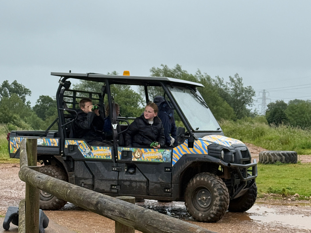 Diggerland Devon-Cullompton必去景点