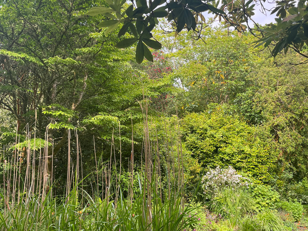 Pinetum Gardens主图