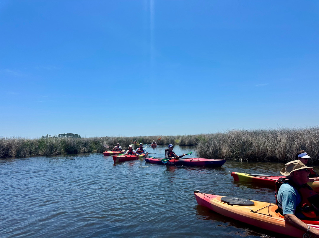 Coastal Kayak Touring Company-Duck必去景点