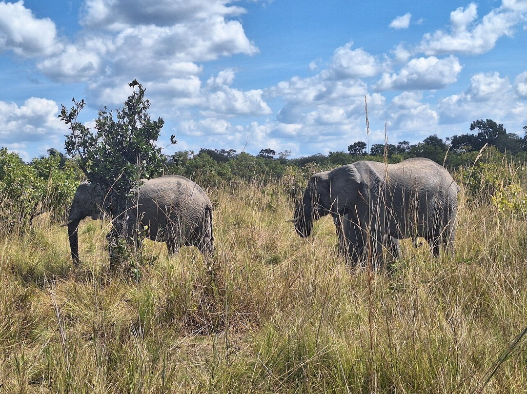 Zamsato - Zambia Safaris & Adventours-李文斯顿必去景点