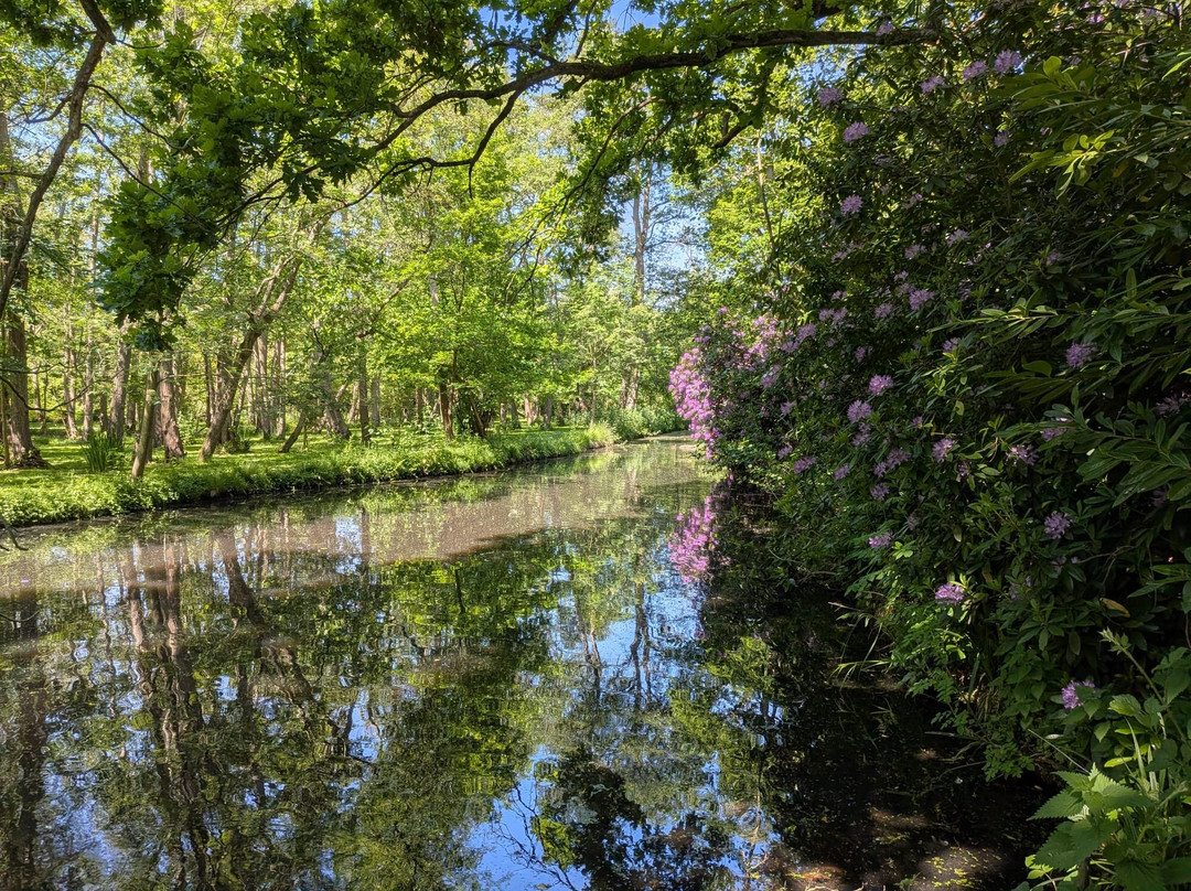 Fairhaven Woodland and Water Garden-South Walsham必去景点