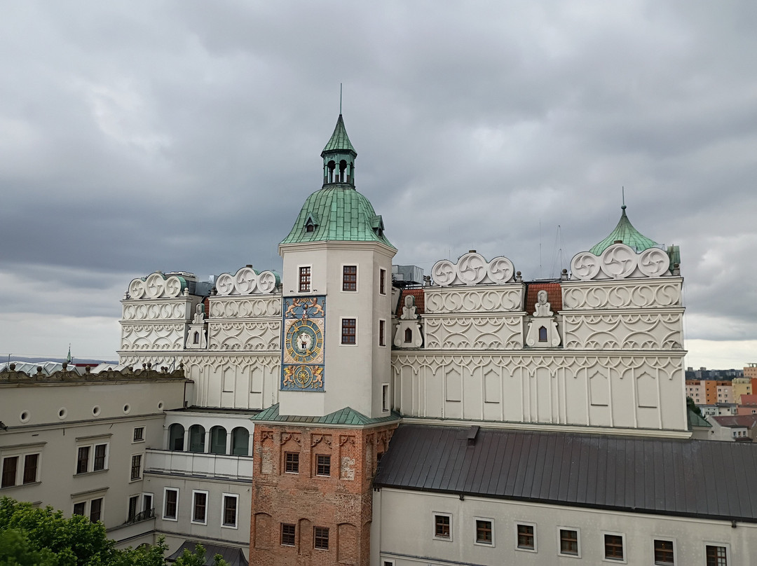 The Pomeranian Dukes' Castle-什切青必去景点