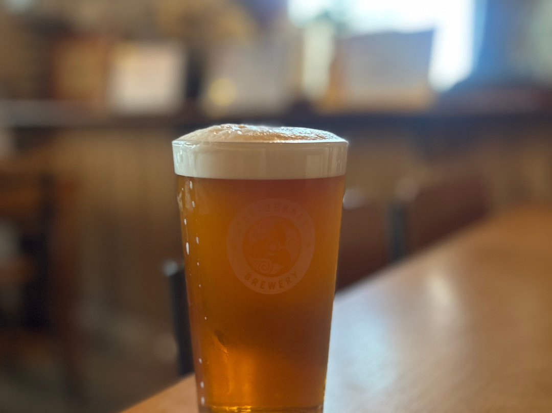 Orkney Brewery-Stromness必去景点