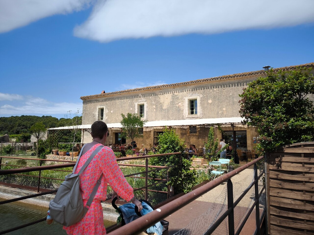 Ferme-Auberge de Valmagne