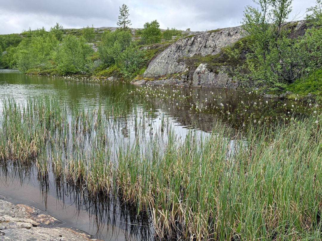 Booking Kirkenes-希尔克内斯必去景点