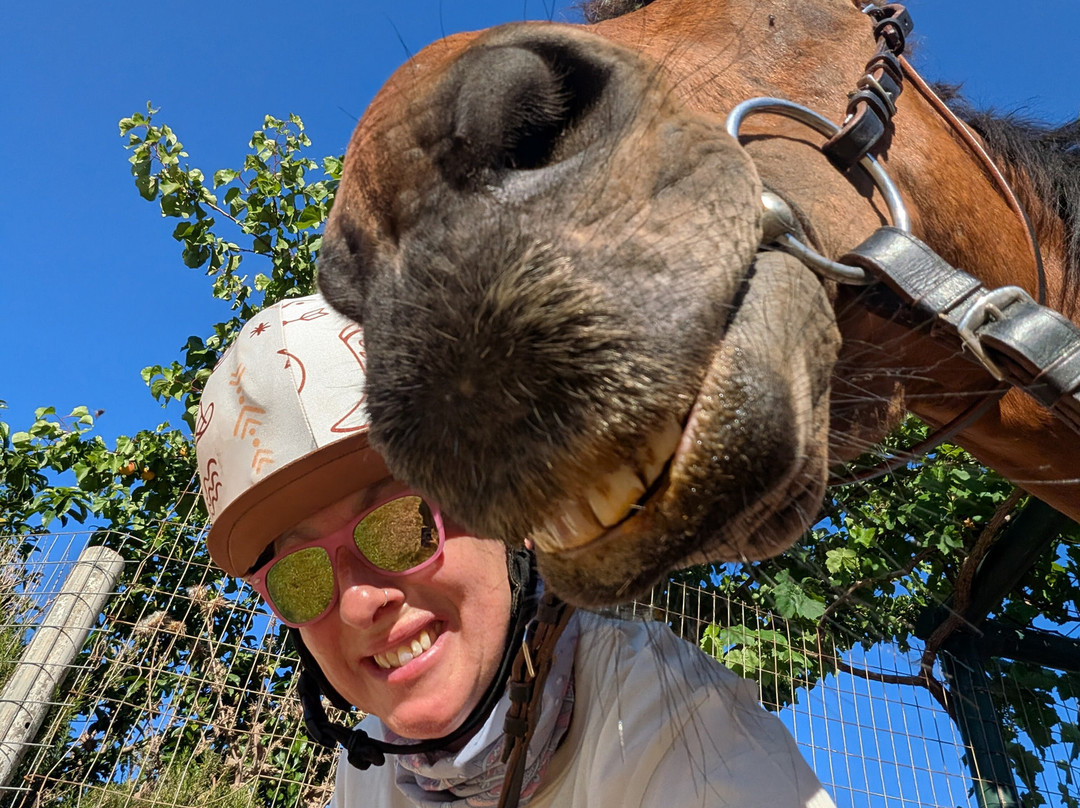 Kefalonia's Horse Riding Stable-萨米必去景点