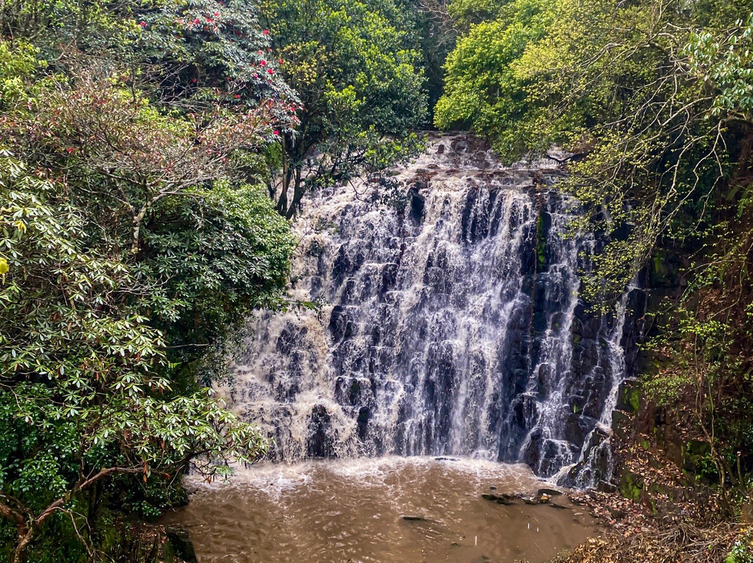 Elephant Falls-西隆必去景点