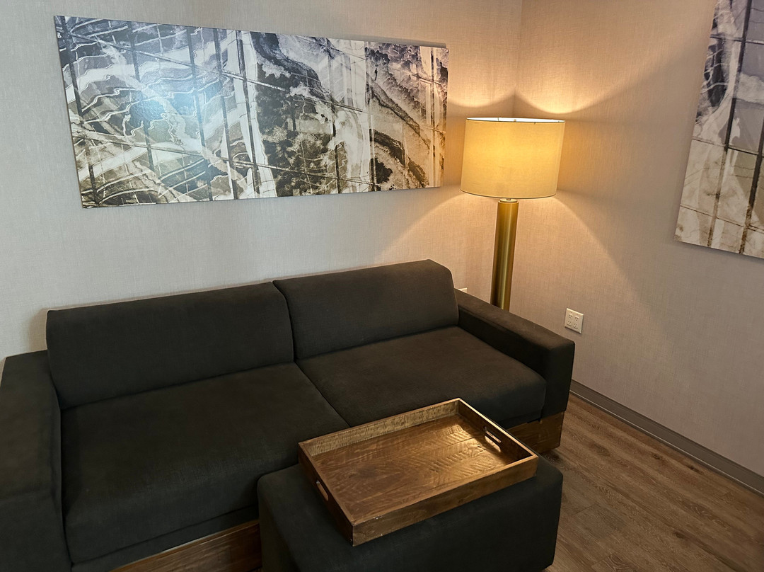 塔什霍韦斯特切斯特县万豪SpringHill Suites酒店主图