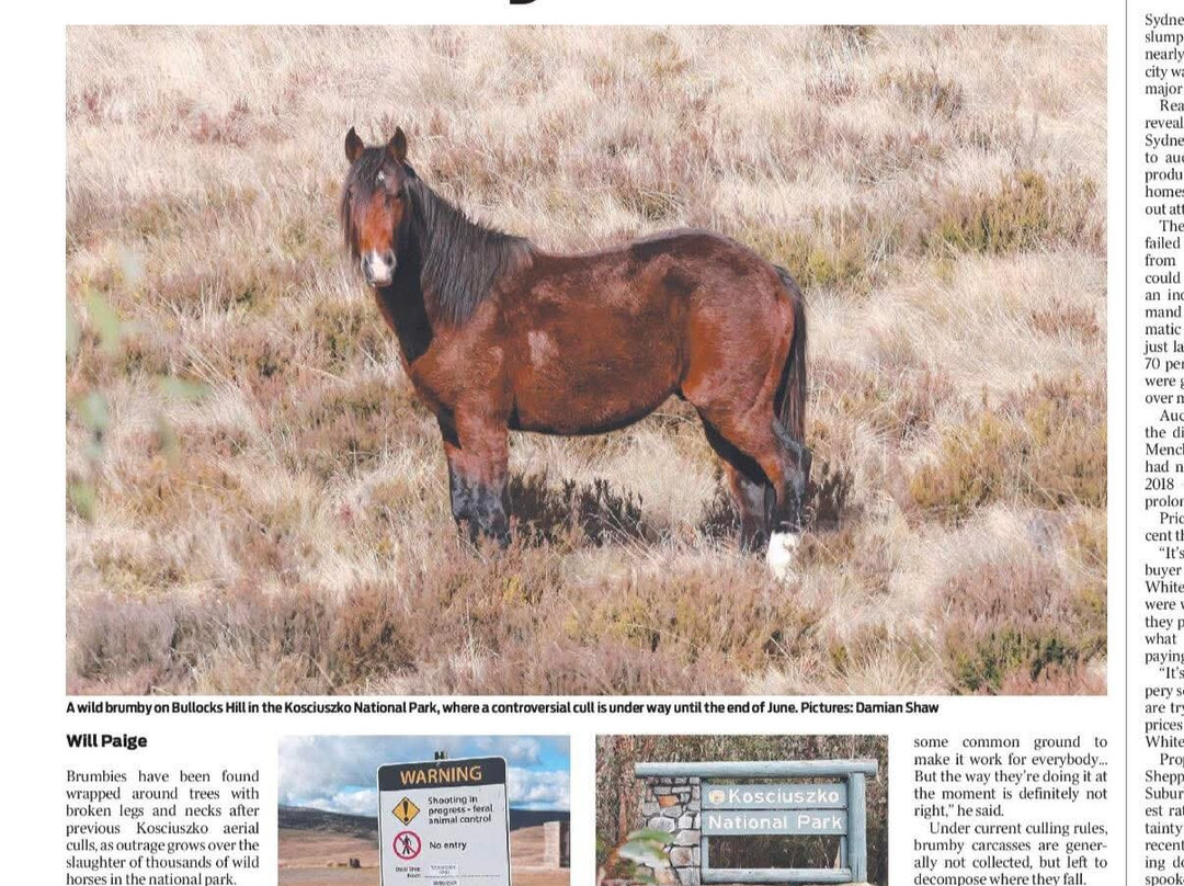 Mount Kosciuszko National Park-Thredbo Village必去景点