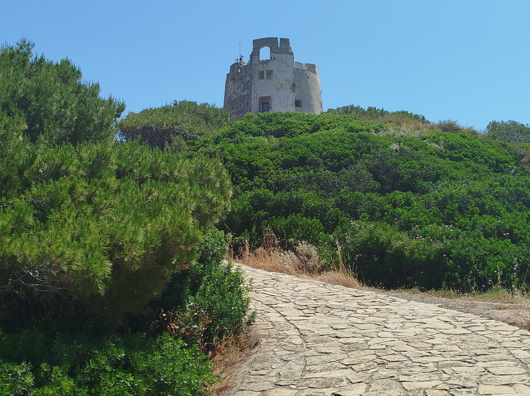 Torre di chia-Domus de Maria必去景点
