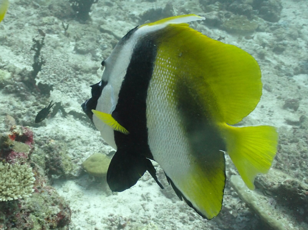 Acqua Adventures Rasdhoo-拉斯胡必去景点