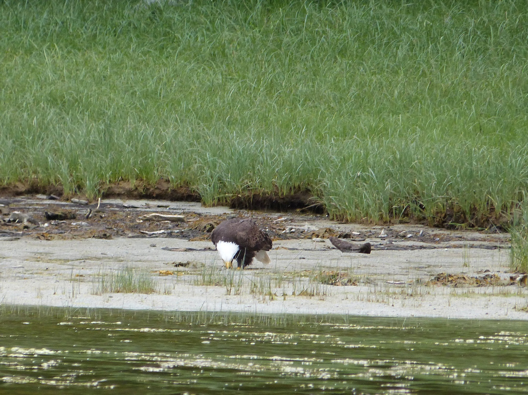 Knight Inlet Lodge主图