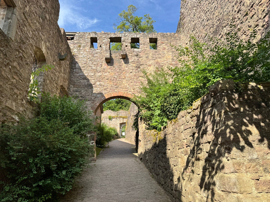 Altes Schloss Hohenbaden-巴登巴登必去景点